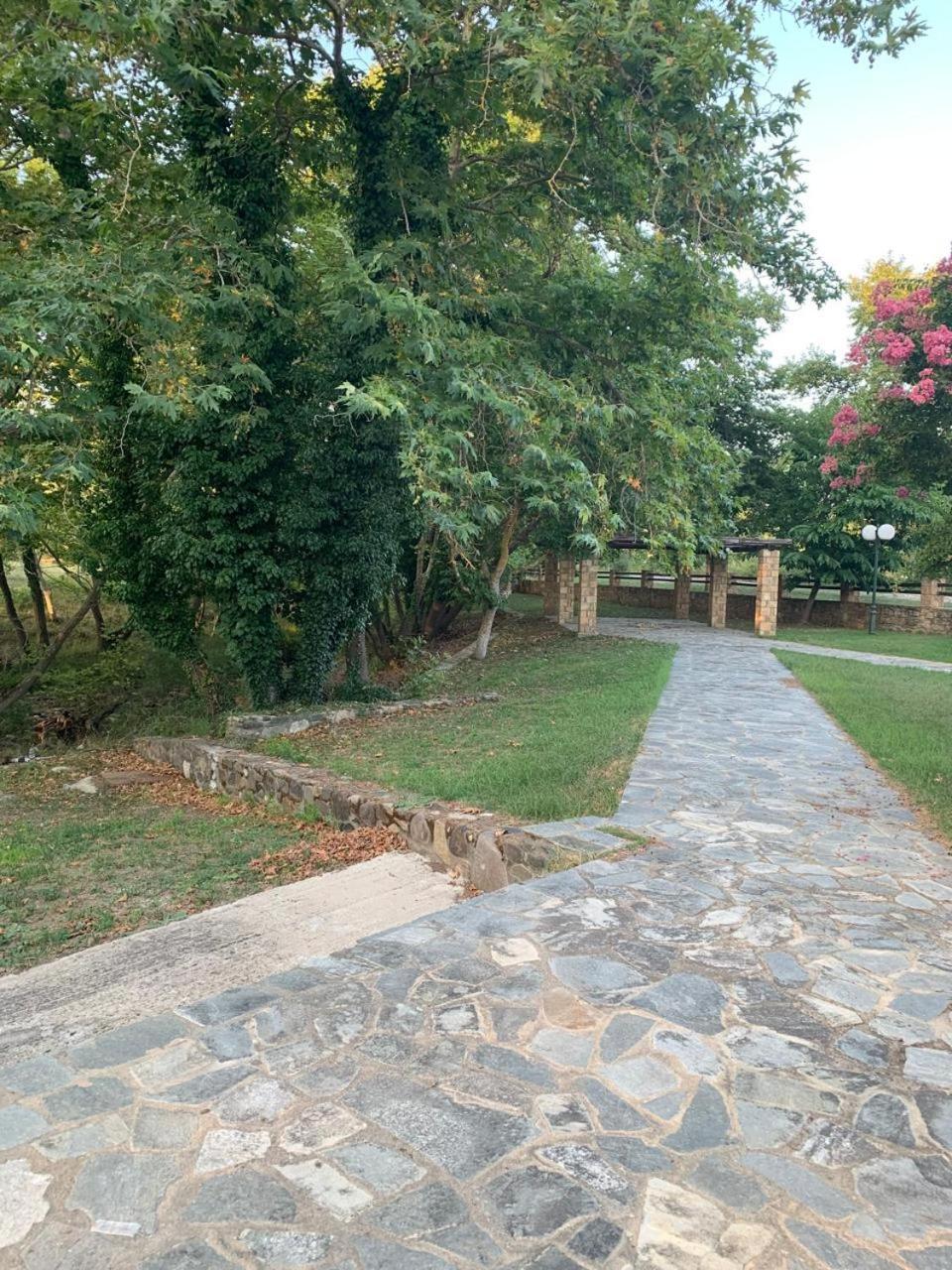 Platanorema Agios Ioannis Prodromos Bagian luar foto