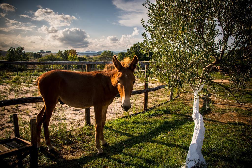 Platanorema Agios Ioannis Prodromos Bagian luar foto